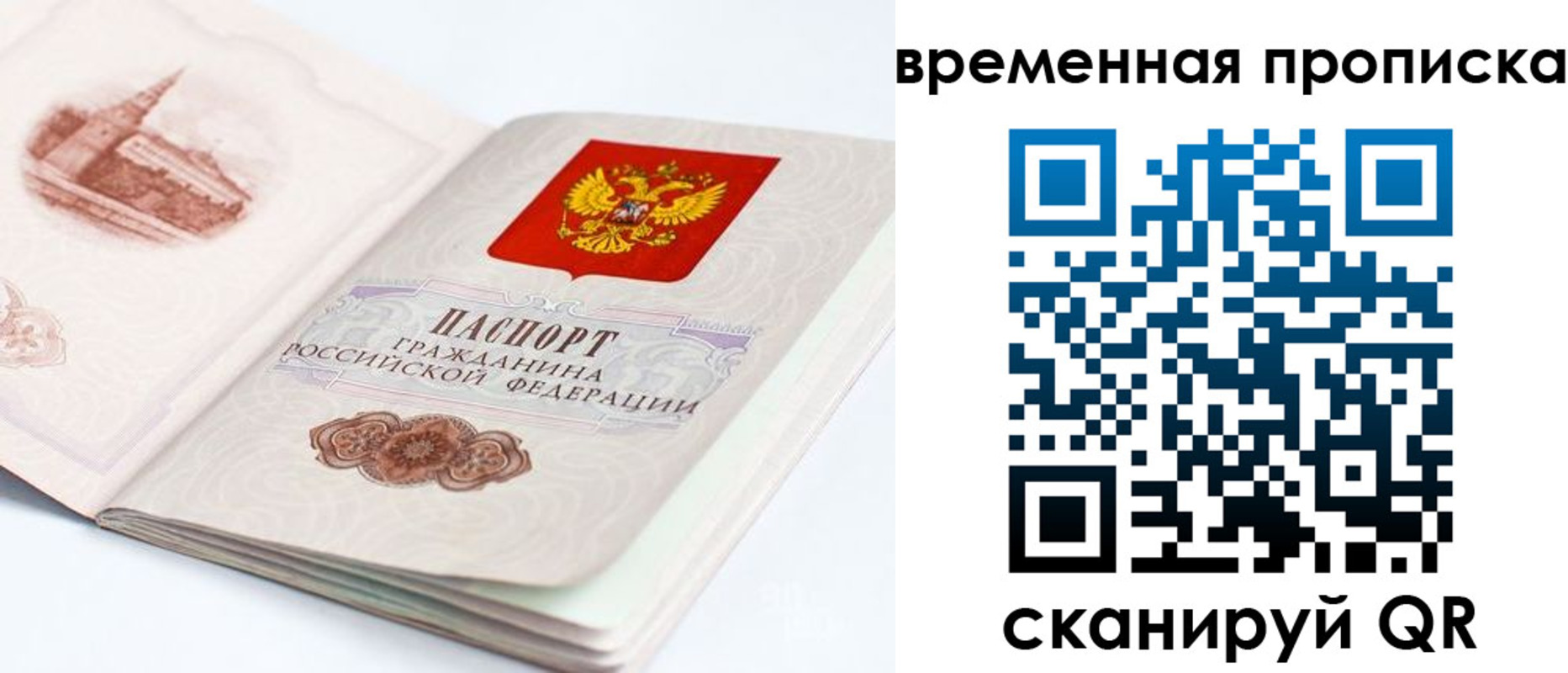 регистрация в Краснознаменске